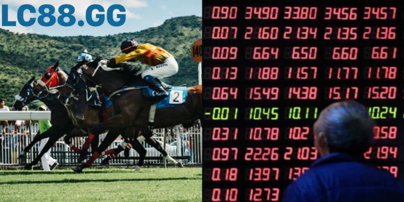 Hướng dẫn đặt cược đua ngựa từ A-Z: Bí kíp cho người mới bắt đầu Đọc hiểu bảng thông tin (form) là chìa khóa đặt cược đua ngựa.