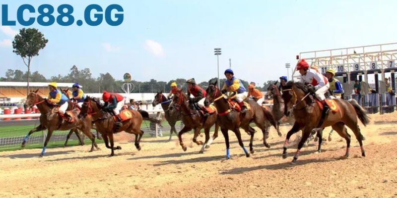 Hướng dẫn đặt cược đua ngựa từ A-Z: Bí kíp cho người mới bắt đầu Quản lý vốn là chiến lược sống còn trong đặt cược đua ngựa.