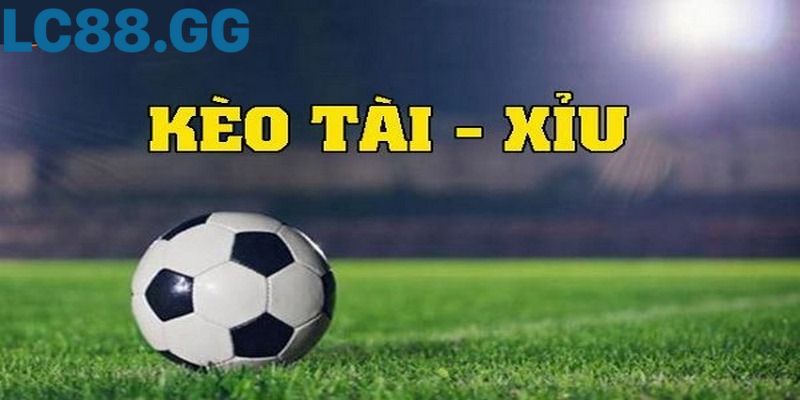 Bật mí 9+ mẹo bắt kèo tài xỉu bất bại từ chuyên gia 9+ Mẹo bắt kèo tài xỉu giúp bạn tăng tỷ lệ thắng lớn