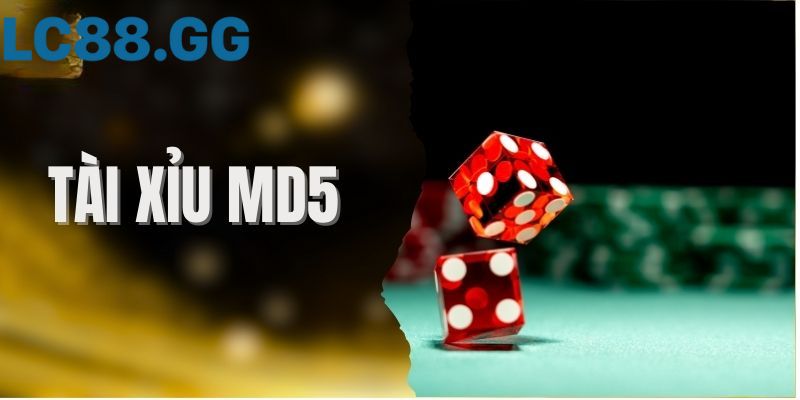 Tài xỉu MD5: Giải mã công nghệ chống gian lận 100% trong game Tài xỉu MD5 là gì? Cách check và bí kíp chơi chống bịp